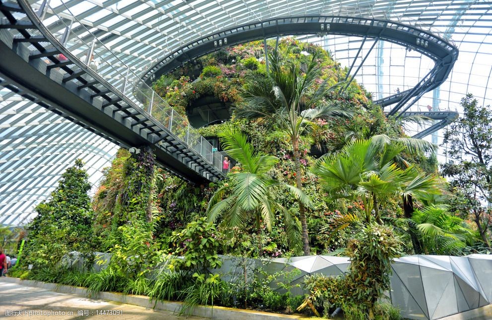新加坡滨海湾花园图片