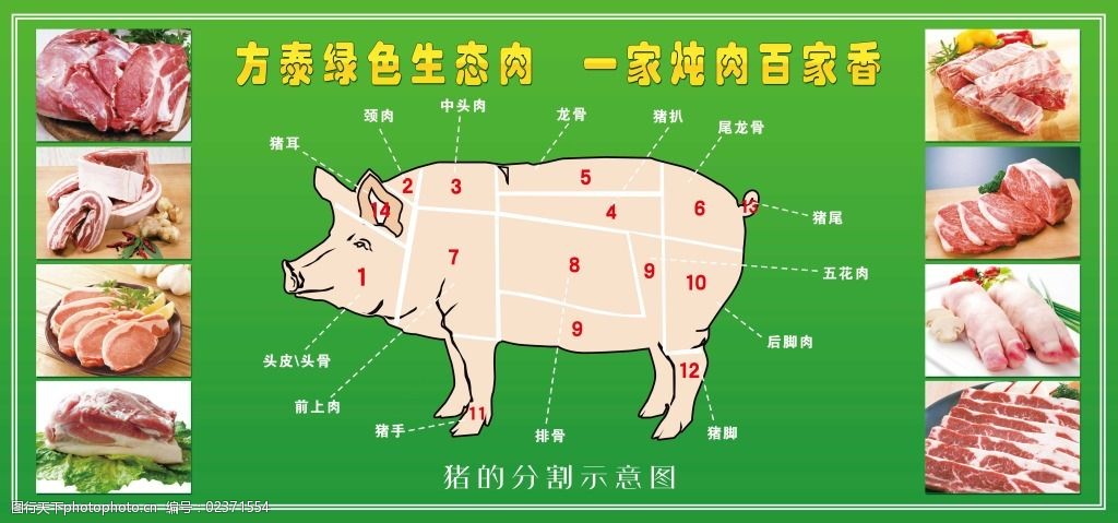 关键词:猪的分割示意图免费下载 绿色背景 猪肉 猪的分割示意图 海报