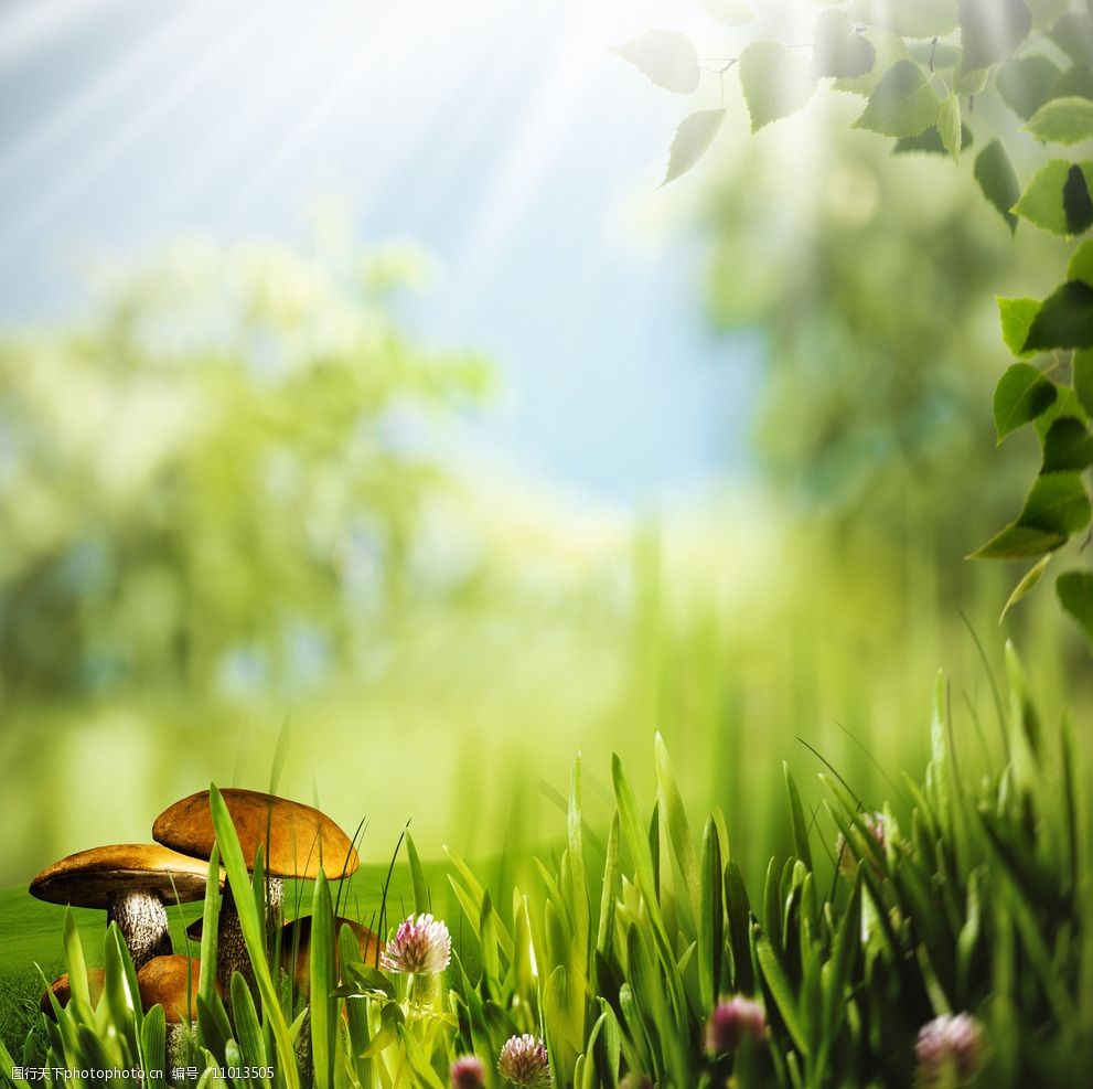 关键词:秦皇岛 奥林匹克公园 风景 唯美 清新 意境 自然 草地 摄影