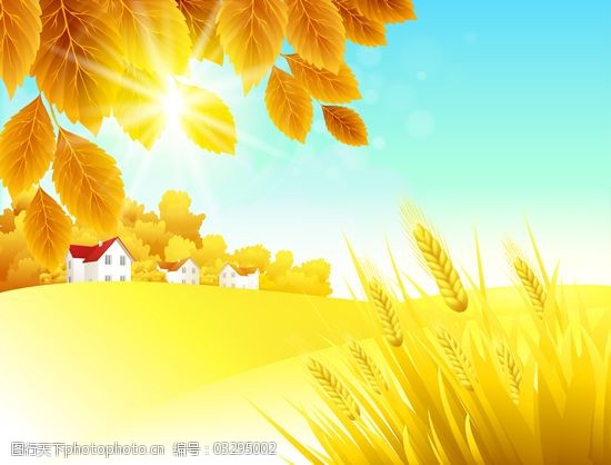 秋天树叶矢量图片免费下载图片-图行天下图库