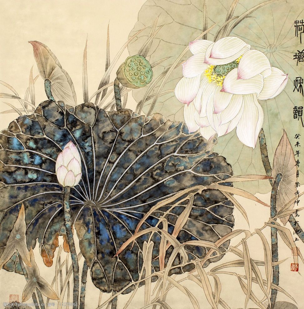 关键词:荷塘秋韵 朱秀坤作品 秋天 池塘 白荷花 中国古代画 中国古画