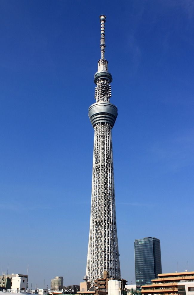 日本最高的塔图片