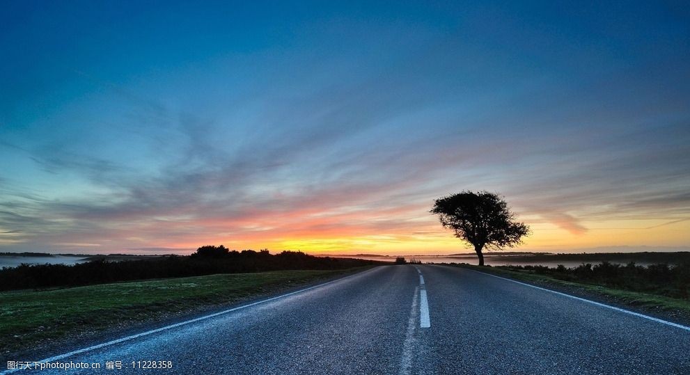 夕阳高速公路 夕阳 大树 高速公路 晨曦 风景素材 摄影 自然景观 自然