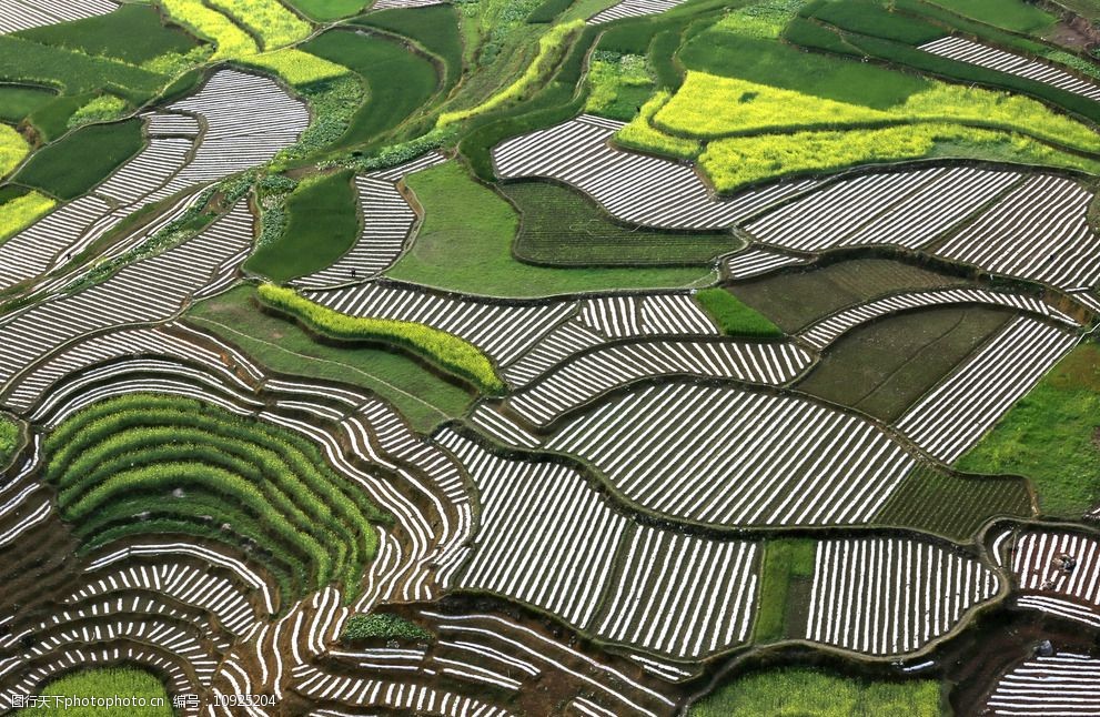 唯美梯田图片