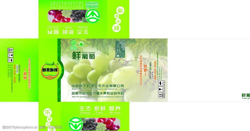 葡萄包装箱图片