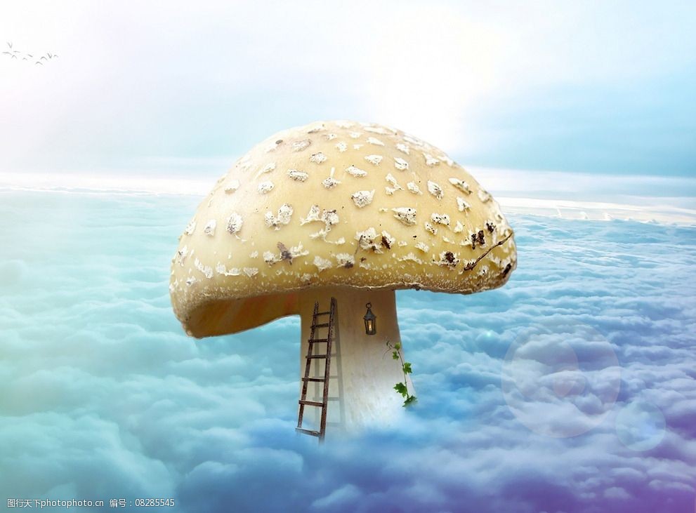 云中的大蘑菇图片