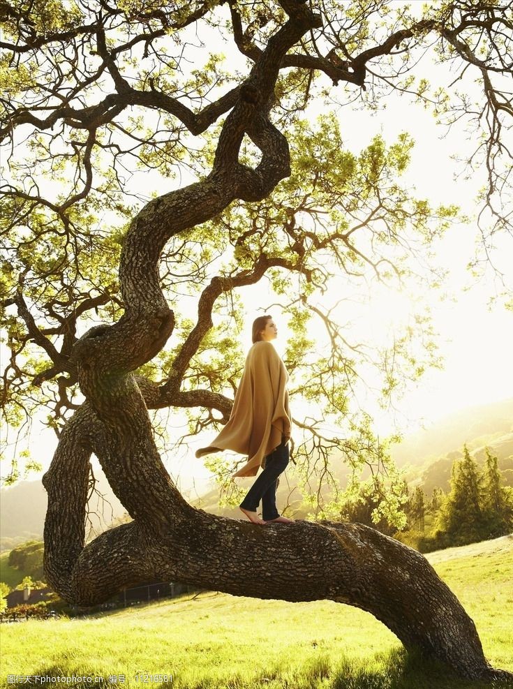 大树女人小清新图片