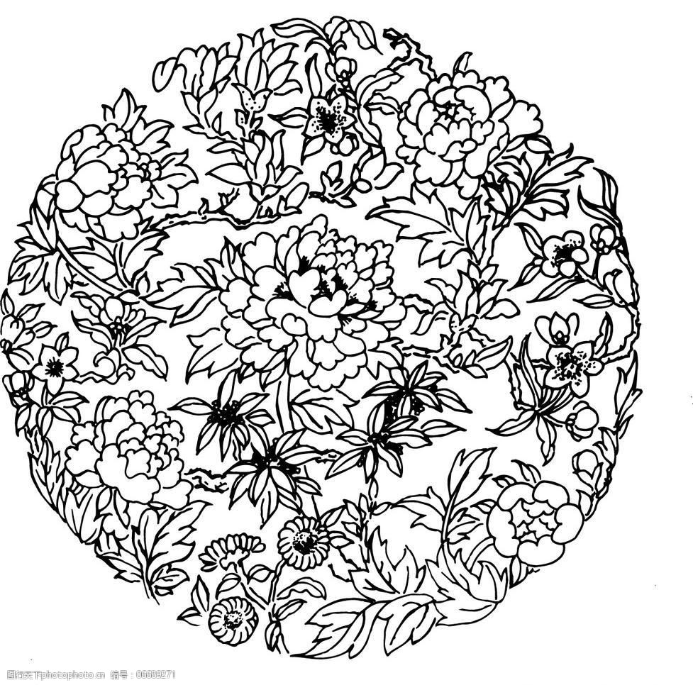 兰花花草花朵矢量