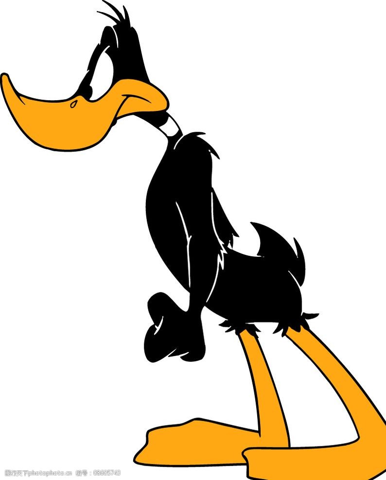 摩拳擦掌的黑鸭子卡通图片