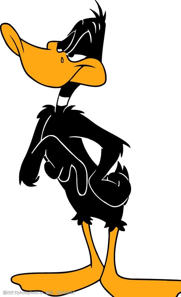骄傲的黑鸭子卡通素材图片
