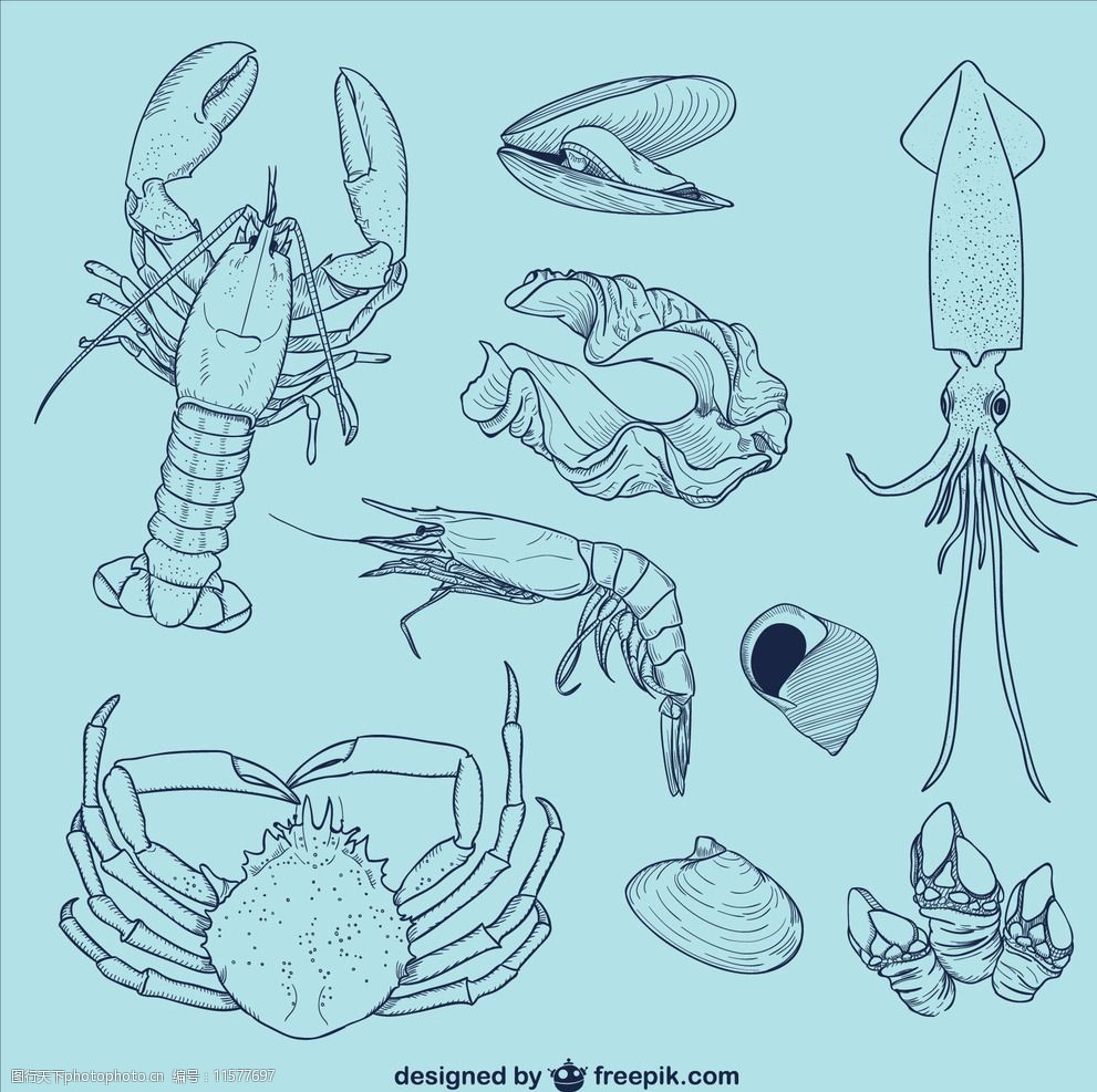 螃蟹简笔画 贝壳图片