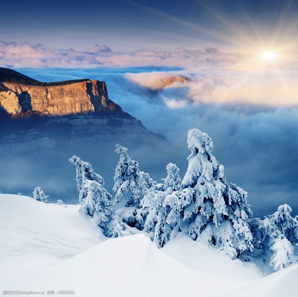唯美冬季雪景图片图片-图行天下图库