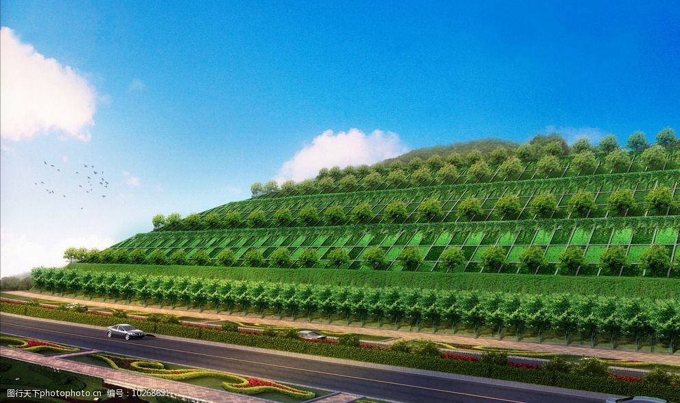 堡坎绿化处理 堡坎绿化 垂直绿化 景观护坡 护坡绿化 挡墙绿化 设计