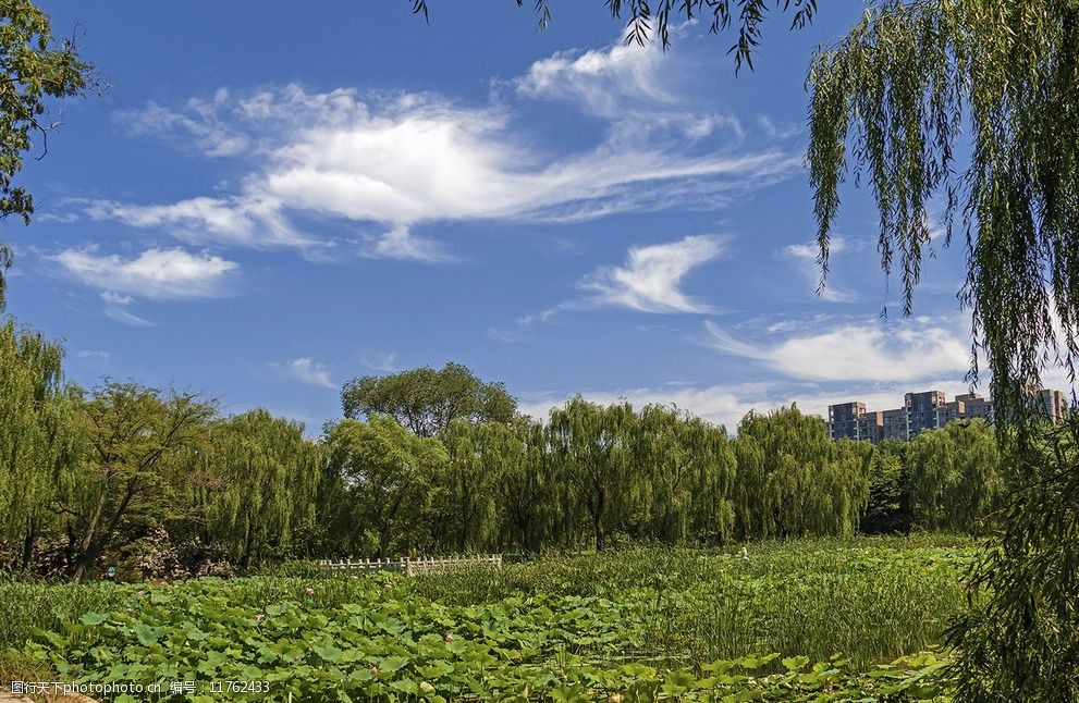 石家庄裕西公园图片