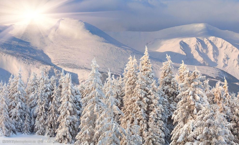 温暖 雪山 雪松 冬季 冬天 大雪 白色 温馨 高清 jpeg 摄影 自然景观
