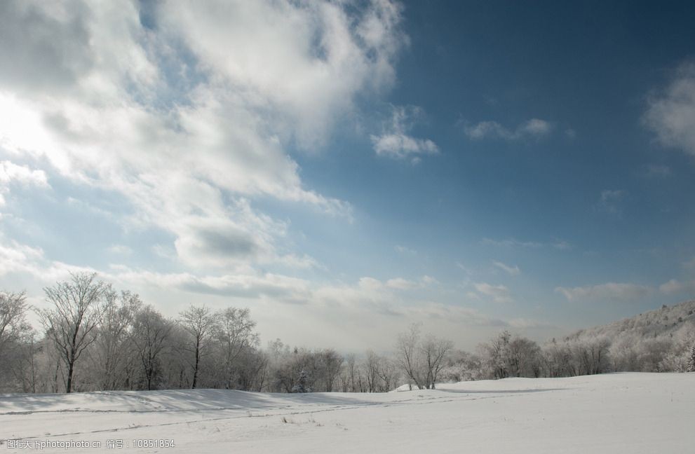 冬季森林雪景图片