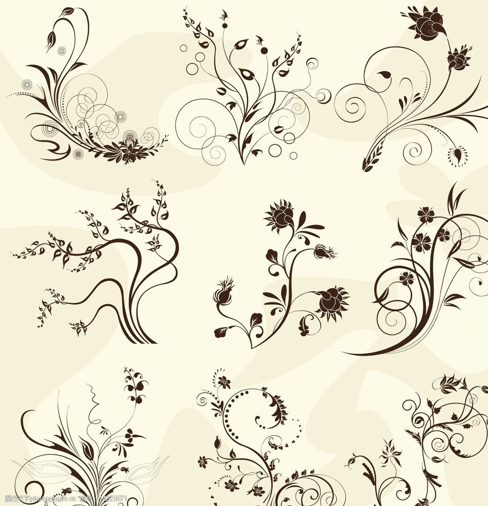 矢量叶子花纹线条素材图片