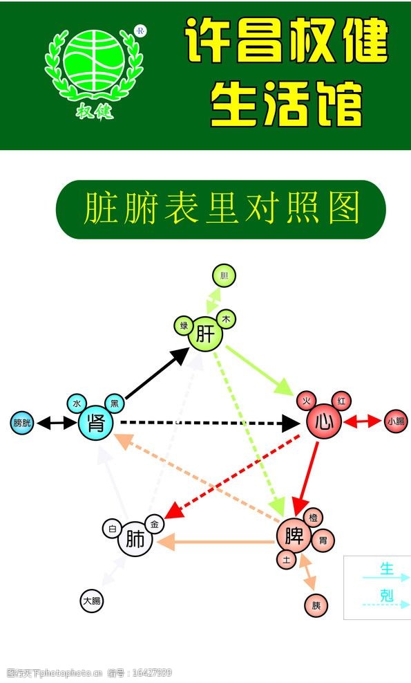 脏腑表里对照图图片