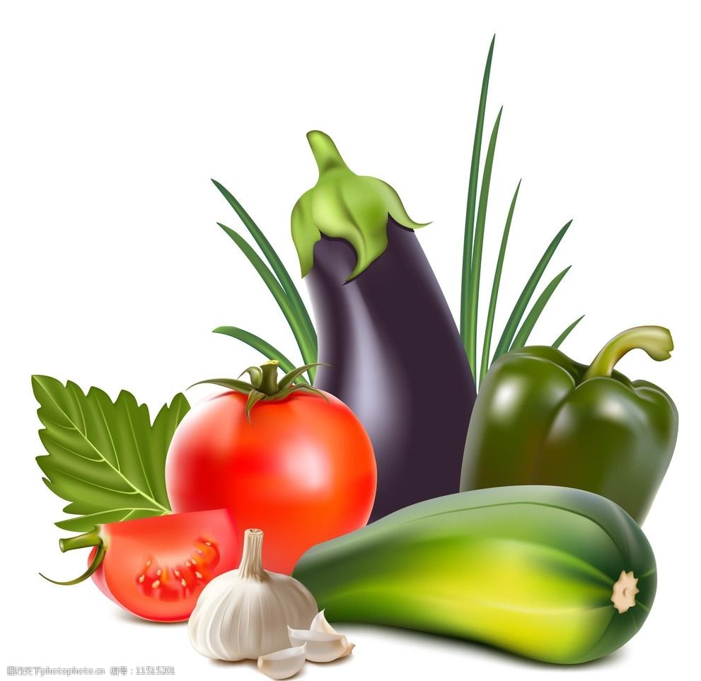 蔬菜矢量图图片