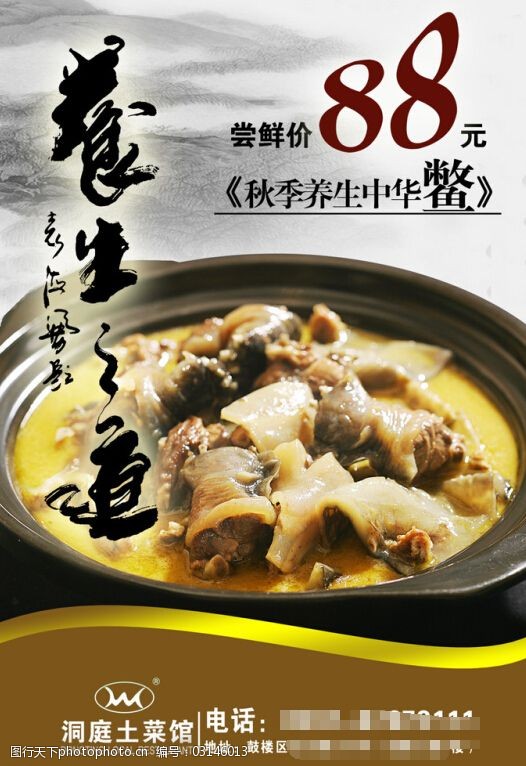 中华鳖中国风海报