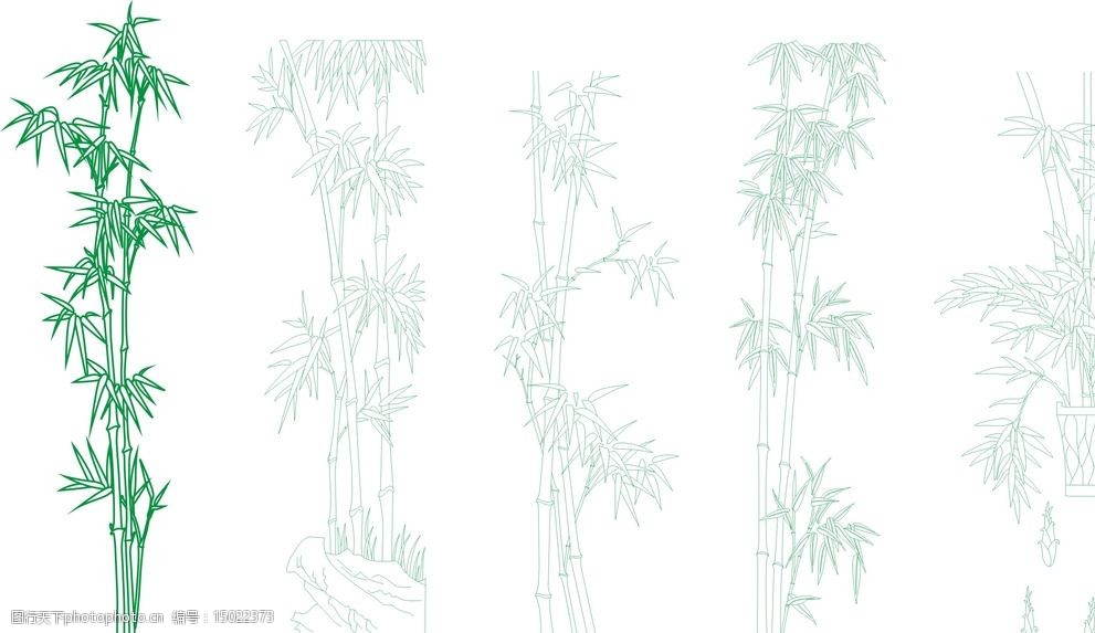 竹子的图画平面图图片