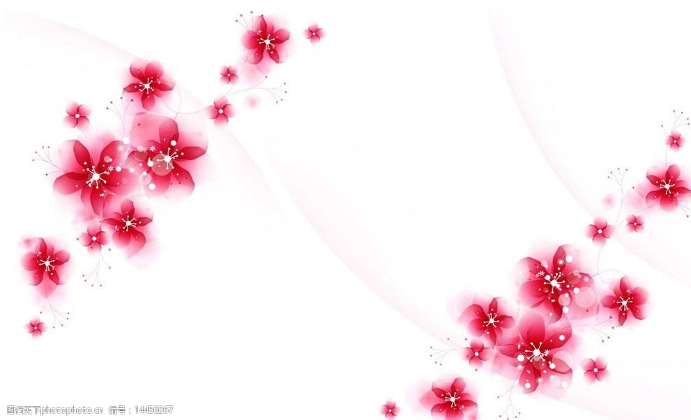 简单花朵背景 简单 花纹 白色 底纹 背景 大方 设计 底纹边框 花边