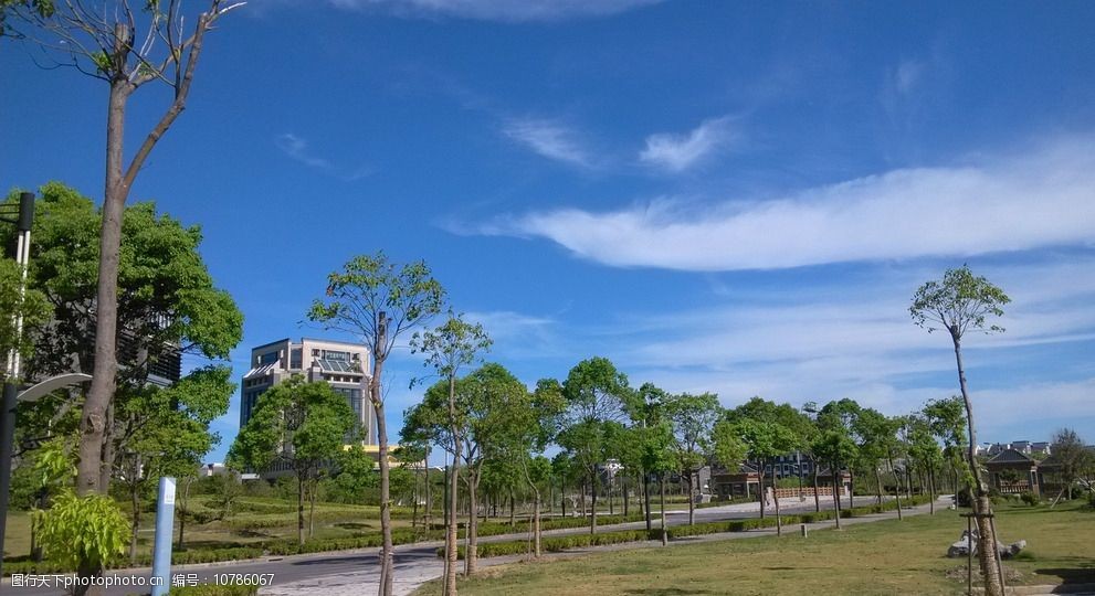 午后的的图书馆（午后的图书馆根据下面的情景写几句话写出静态之美） 午后的的图书馆（午后的图书馆根据下面的景象
写几句话写出静态之美） 中国图书