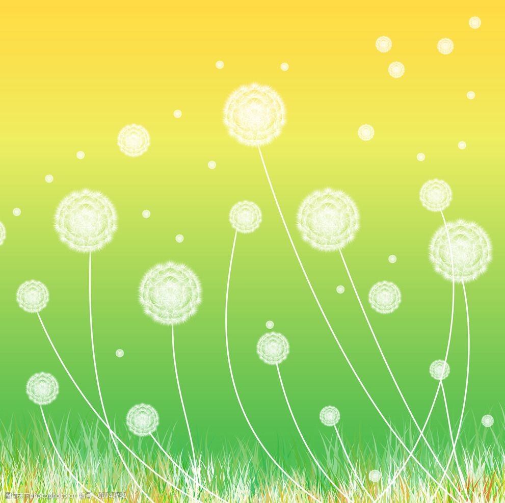 高清蒲公英壁纸墙纸背景素材图片