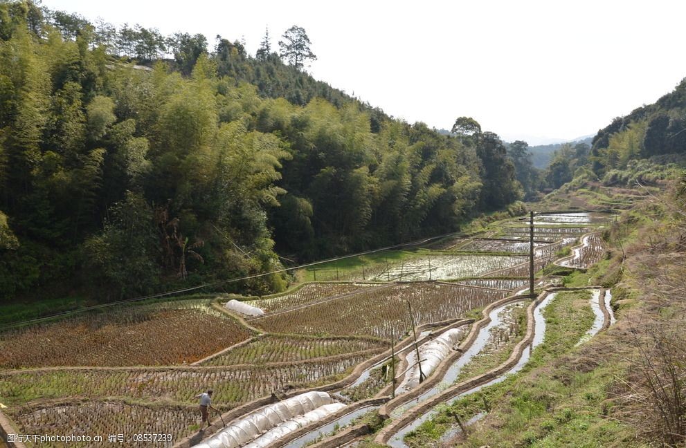 鄉村田園風光圖片