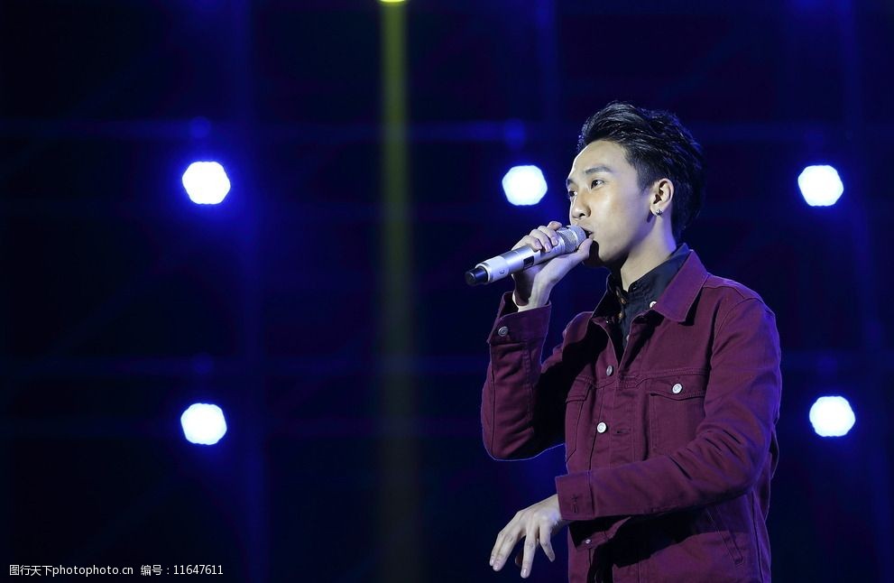 陈乐基演唱会图片