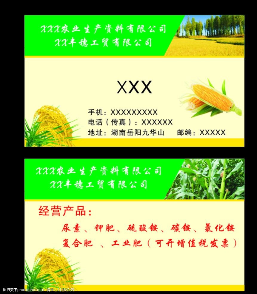玉米种子名片模板图片