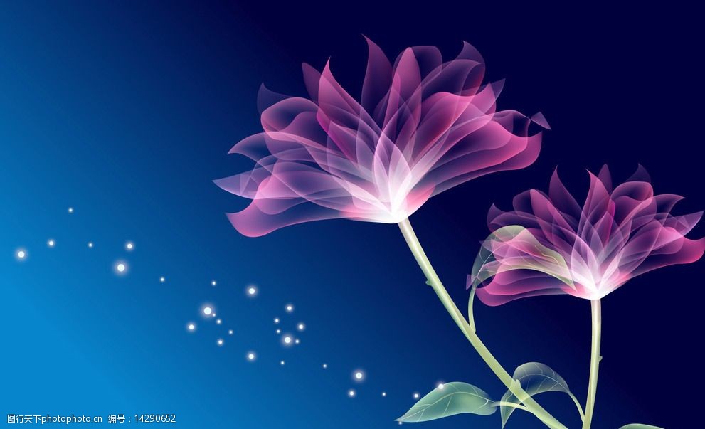 高清壁纸唯美荷花图片图片-图行天下图库