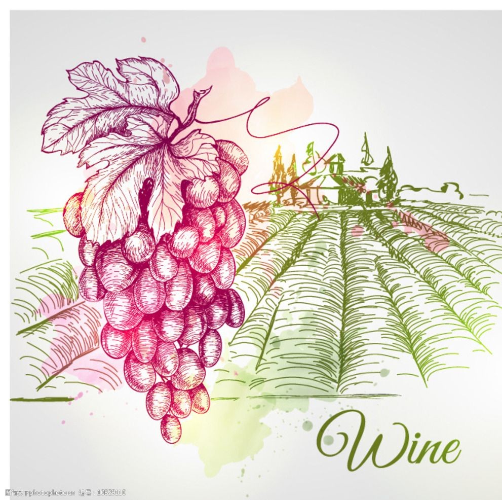 手绘葡萄庄园图片