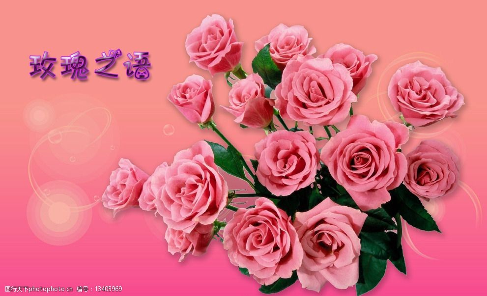 关键词:玫瑰之语 粉色玫瑰 玫瑰 花卉 花朵 鲜花 情人节 一束花 设计