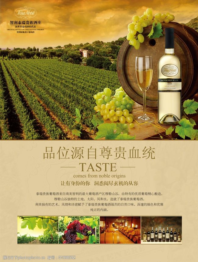 贵族白葡萄酒海报图片-图行天下图库
