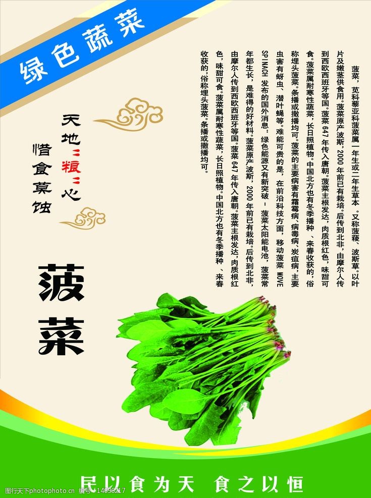 關鍵詞:綠色蔬菜 食堂管理 營養價值 綠色食品 菠菜 設計 廣告設計