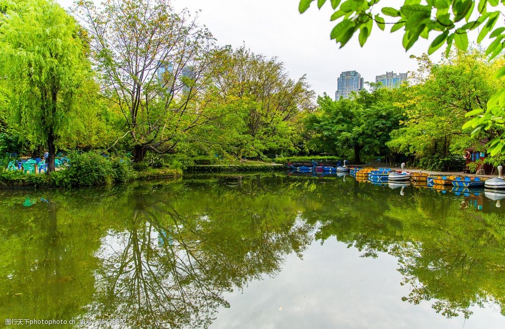 望江公園圖片