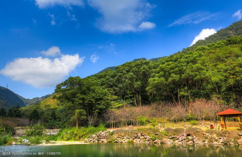 福州國家森林公園圖片圖片-圖行天下圖庫