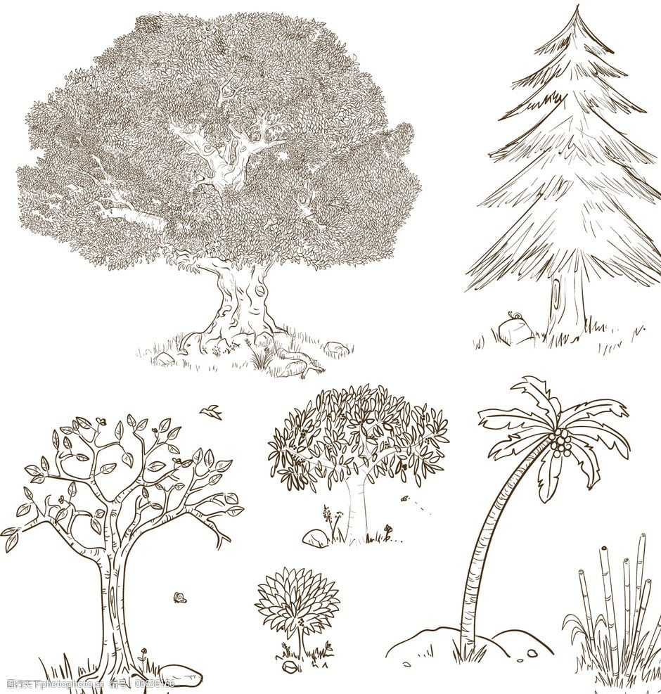 手绘树木矢量素材图片