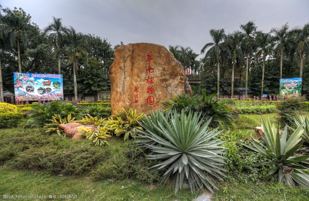 华南植物园图片