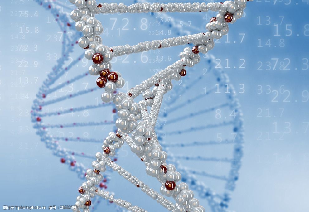 dna基因组图片