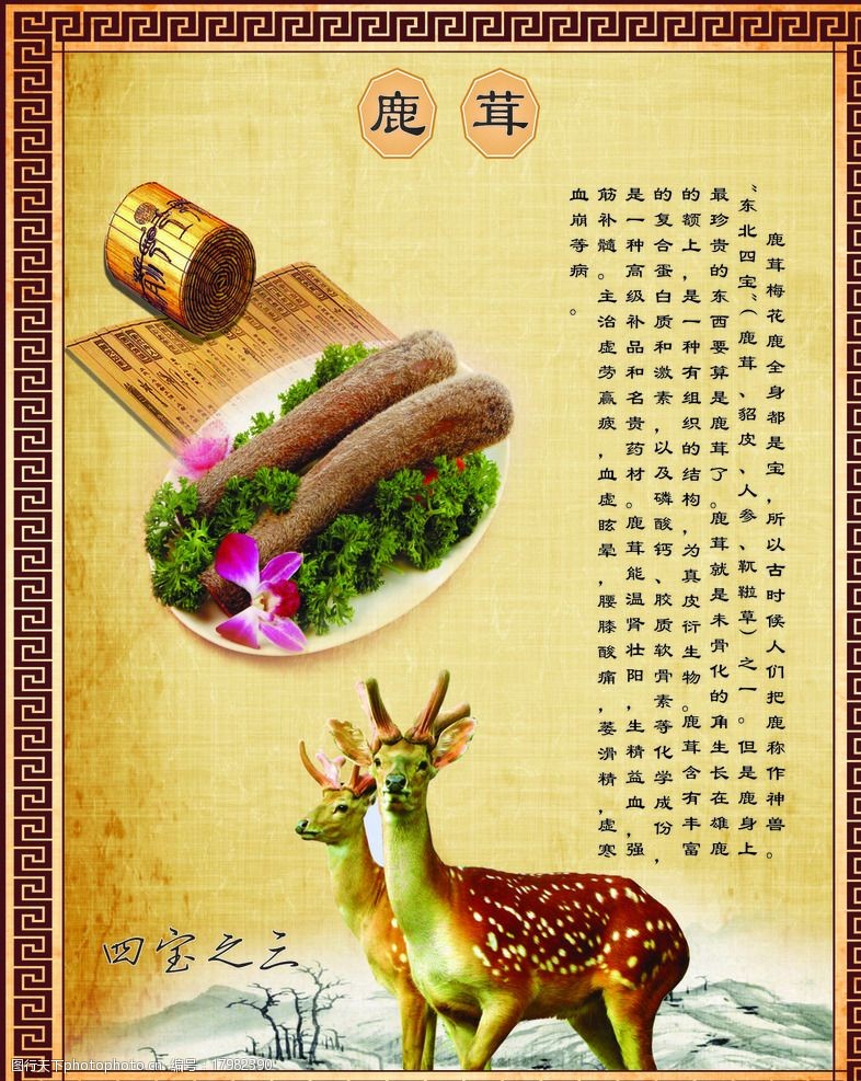 东北四宝鹿茸图片