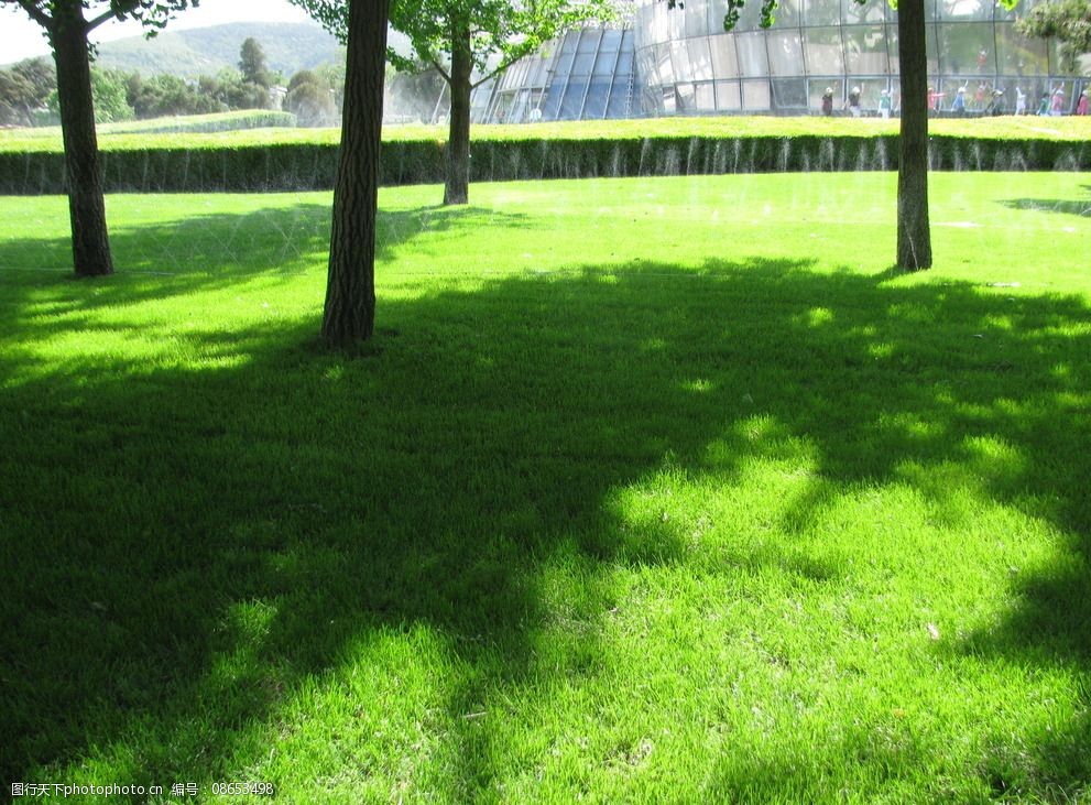 關鍵詞:綠化景觀 草地 綠地 綠樹 花卉 樹木 自然景觀 風景 裝飾畫