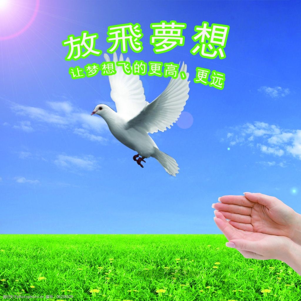 放飞梦想让梦想飞的更高更远