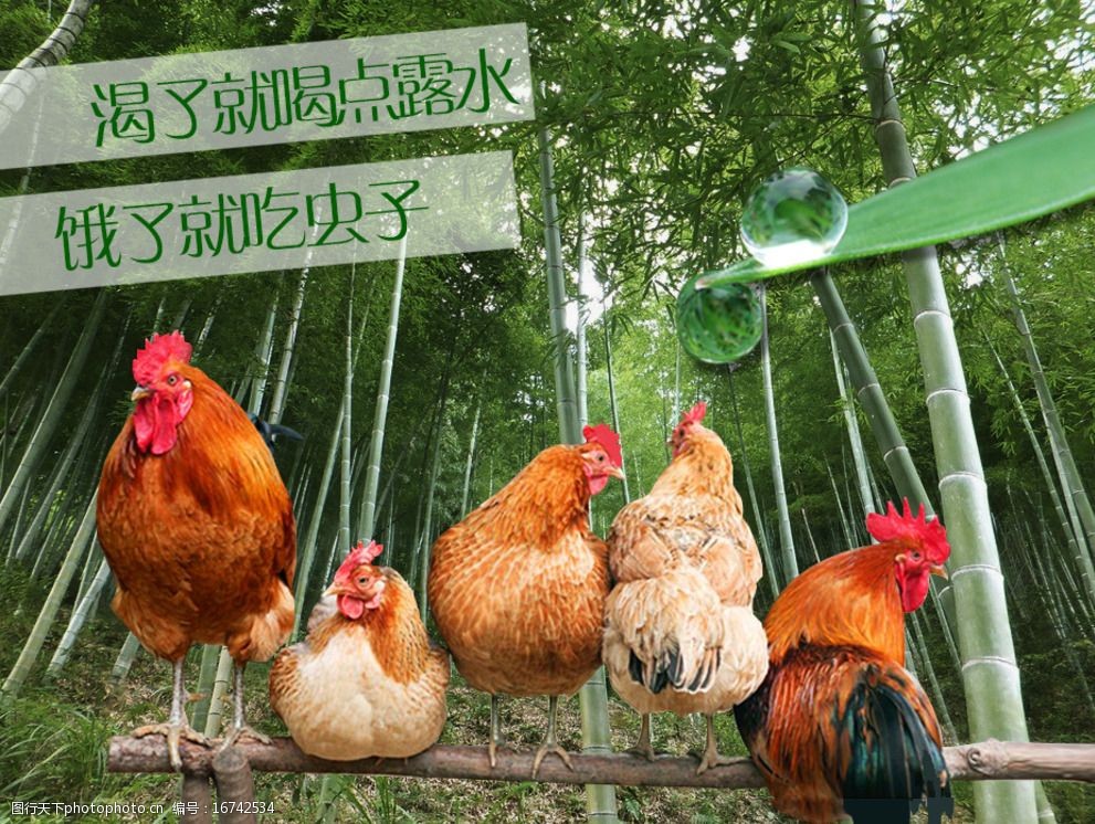 设计图库 广告设计 设计案例