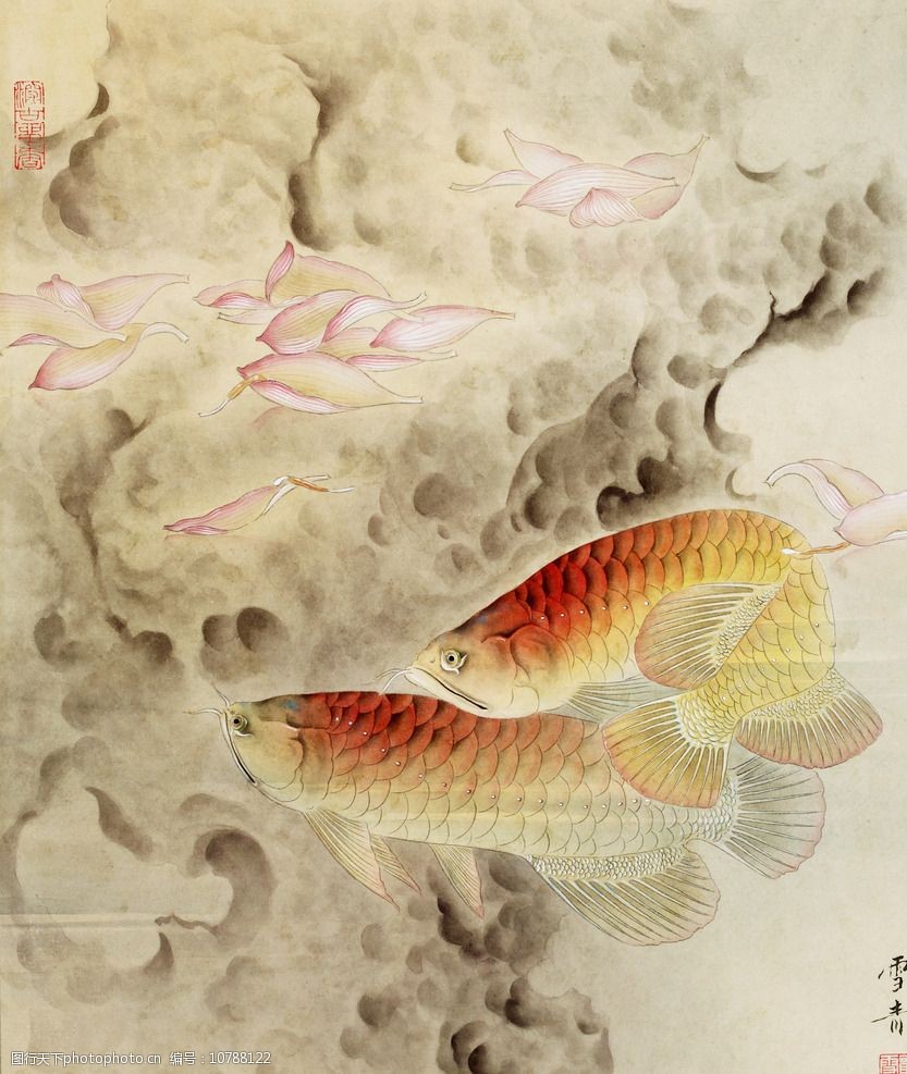 国画游鱼图片