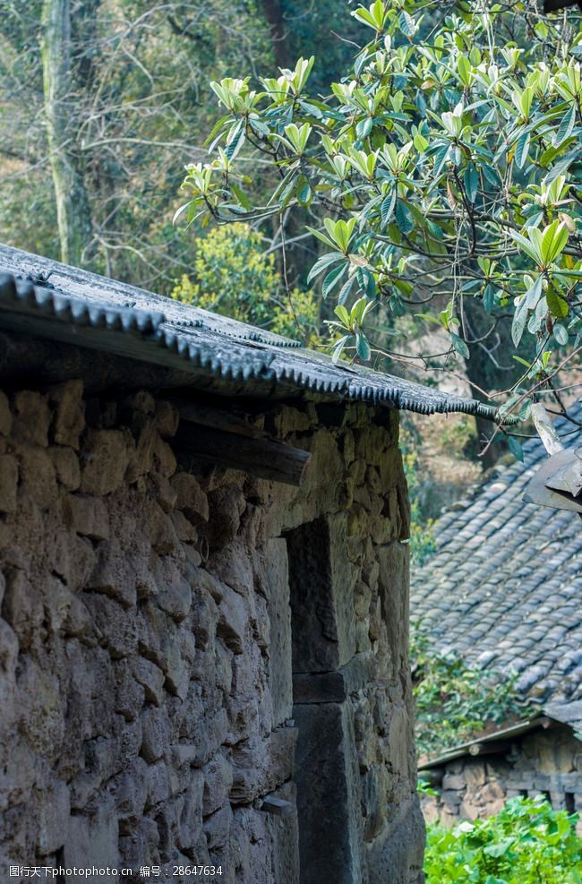 中国乡村风景农村景象