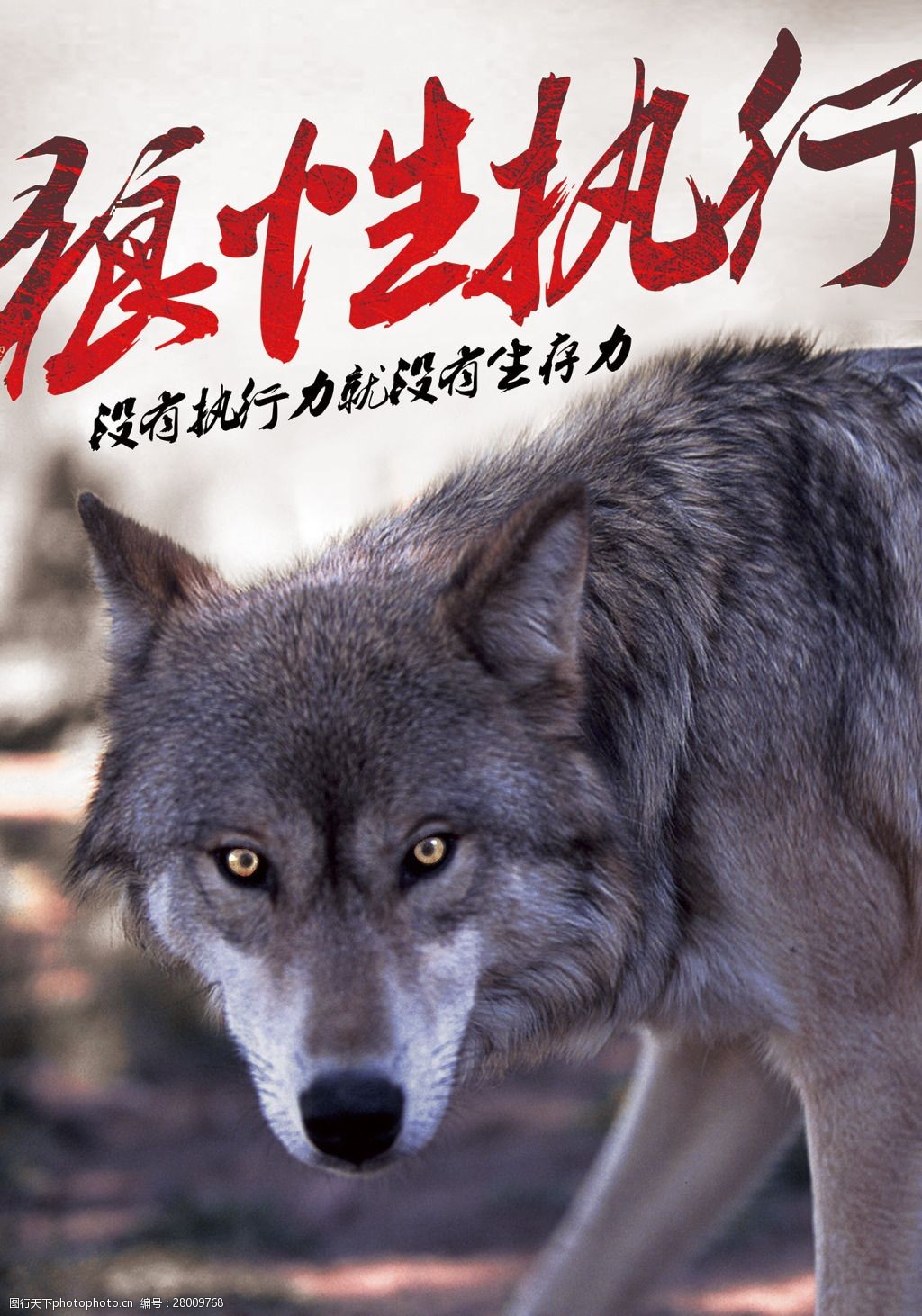 狼性团队宣传海报16