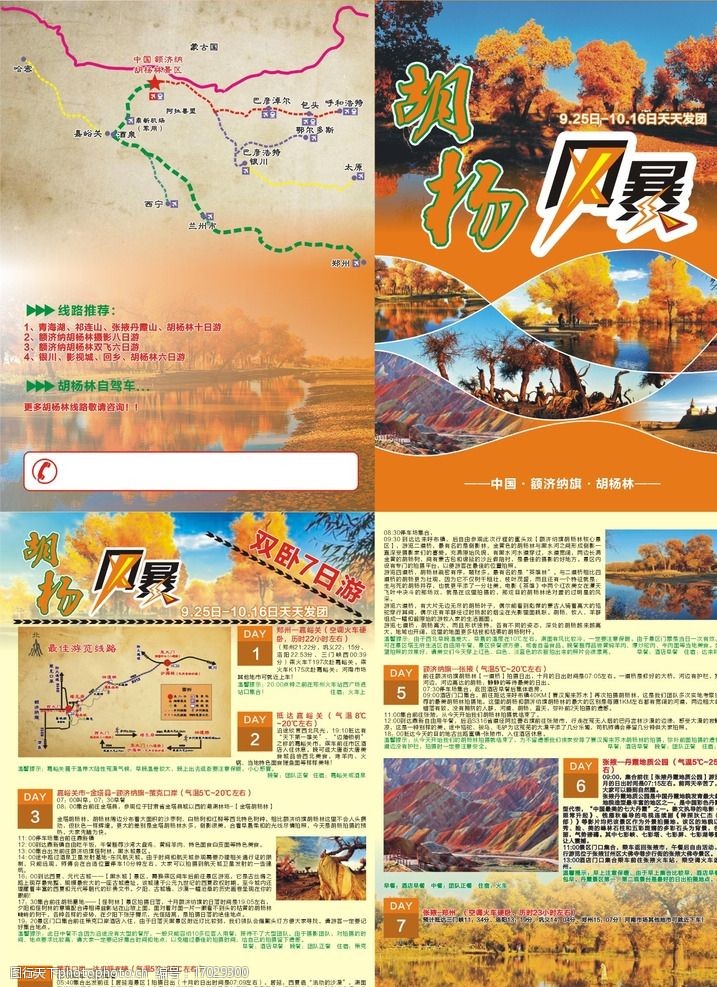 頁 西北 旅遊 胡楊樹 線路圖 沙漠 景區 旅遊宣傳頁 設計 廣告設計 dm