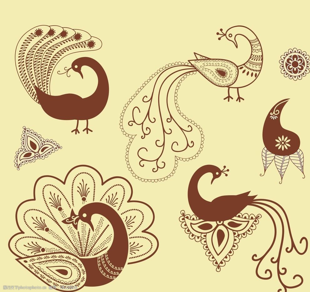 古典孔雀纹图片